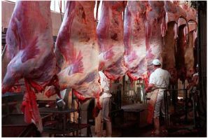 ADJUDICACIÓN DE OBRA PÚBLICA EN ALAVA «MATADERO MUNICIPAL DE LLODIO»