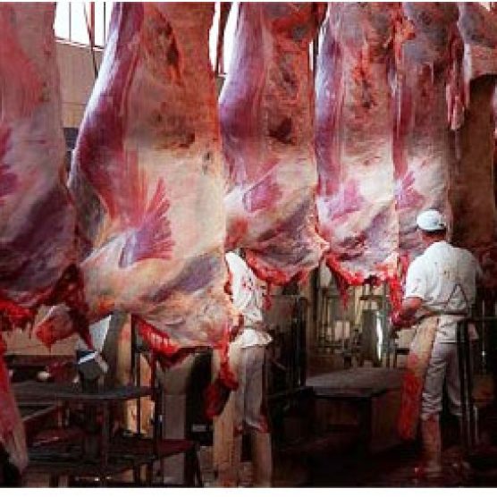 ADJUDICACIÓN DE OBRA PÚBLICA EN ALAVA "MATADERO MUNICIPAL DE LLODIO"