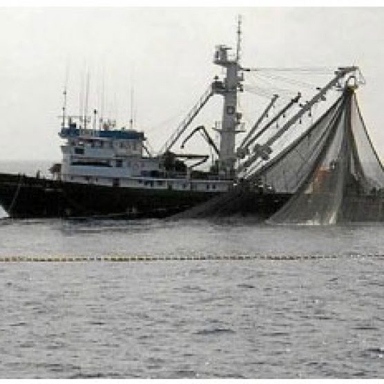 ADJUDICACIÓN DE OBRA NUEVA EN BIZKAIA "PEREZ VIÑAS"