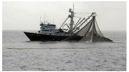 ADJUDICACIÓN DE OBRA NUEVA EN BIZKAIA «PEREZ VIÑAS»