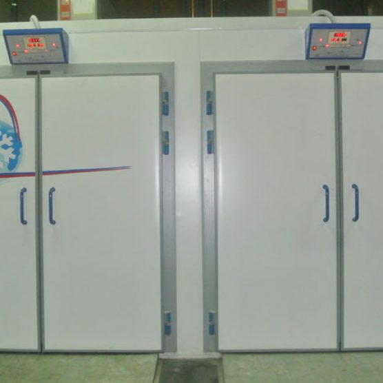 CÁMARAS DE FERMENTACIÓN CONTROLADA "FREIRE"