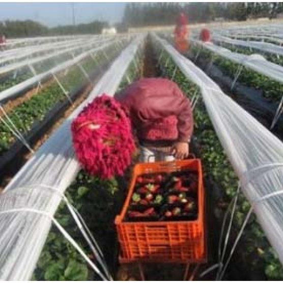 ADJUDICACIÓN DE OBRA NUEVA EN MARRUECOS