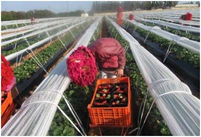 ADJUDICACIÓN DE OBRA NUEVA EN MARRUECOS