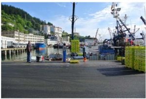 DEPARTAMENTO DE DESARROLLO ECONÓMICO Y COMPETITIVIDAD