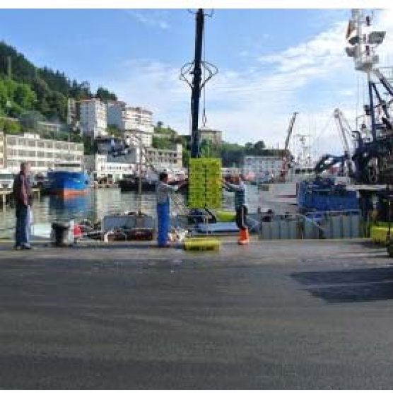 DEPARTAMENTO DE DESARROLLO ECONÓMICO Y COMPETITIVIDAD