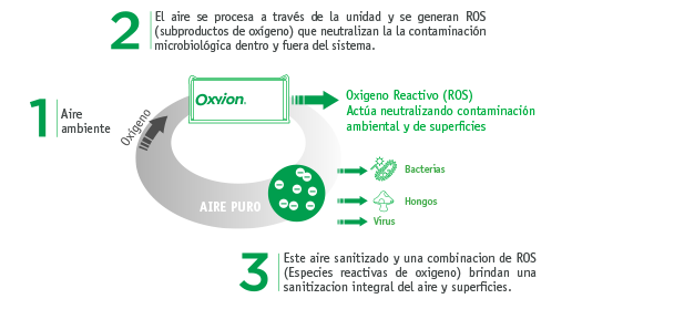 desinfeccion-camaras-frigorificas