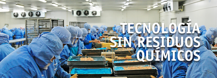 eliminar-bacterias-en-camaras-frigorificas