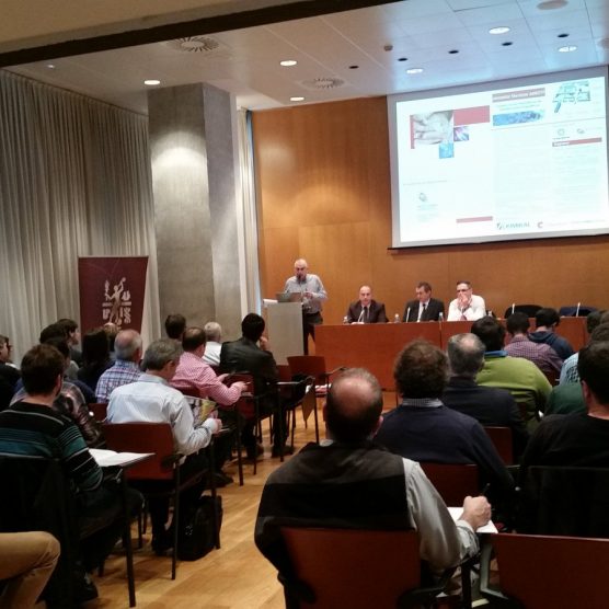 25 ANIVERSARIO AMICYF EUSKADI