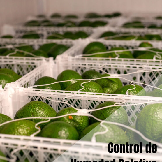 Humedad Relativa en Refrigeración: Un Factor Clave