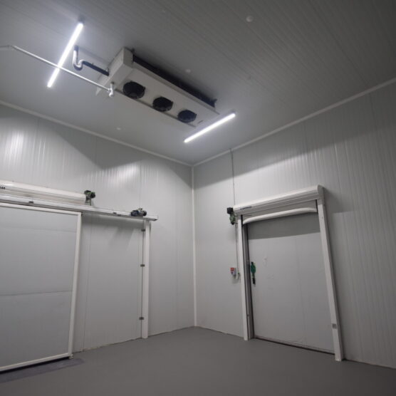 TUDIS BIZKAIA - VASCOFRIGO