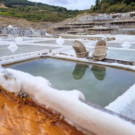 VALLE SALADO DE AÑANA
