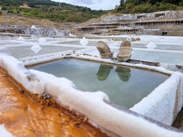 VALLE SALADO DE AÑANA